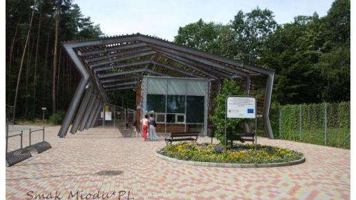 Wejście do Ogrodu Botanicznego, Artur
