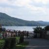 , Alek