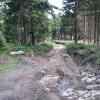 , Darek