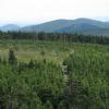 , Darek