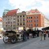, Darek