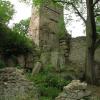 , Darek