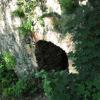 , Darek