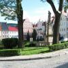 , Darek