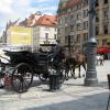 Rynek Główny , Darek