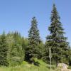 , Grzegorz Binkiewicz