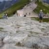 , Grzegorz Binkiewicz