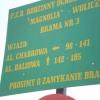 informacja podjazdu na daną Alejkę, elzbieta reimus