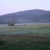 , bartek