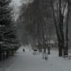 park, Lidka Kwiatkowska