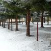 park koło Zdrojowej, Lidka Kwiatkowska