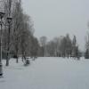 park, Lidka Kwiatkowska