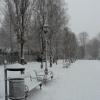 park, Lidka Kwiatkowska