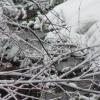 strumyk przy Wyciągu na Maciejową, Lidka Kwiatkowska