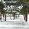 park koło Zdrojowej, Lidka Kwiatkowska