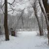 nad Poniczanką, Lidka Kwiatkowska