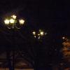 park nocą..., Lidka Kwiatkowska