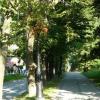 , Lidka Kwiatkowska