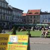 rynek, Katarzyna K