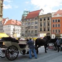 Rynek Główny , Darek