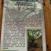 , Darek