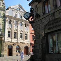 , Darek