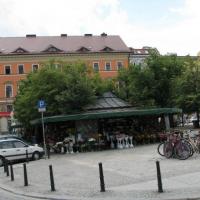 Kwiacirnia na Placu Solnym, Darek