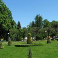 , Darek