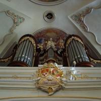 Wnętrze kościoła p.w. św. Anny, Darek
