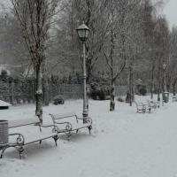park, Lidka Kwiatkowska