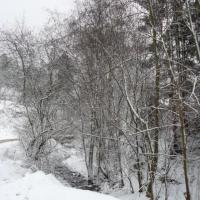 strumyk przy Wyciągu na Maciejową, Lidka Kwiatkowska