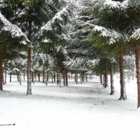 park koło Zdrojowej, Lidka Kwiatkowska