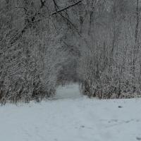 dróżka nad Poniczankępark, Lidka Kwiatkowska