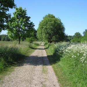 Szlaki w Białowieży
