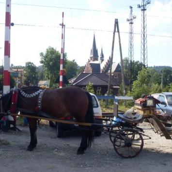 , Lidka Kwiatkowska
