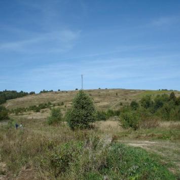 Góra Kamieniec (444 m n.p.m.), Andrzej