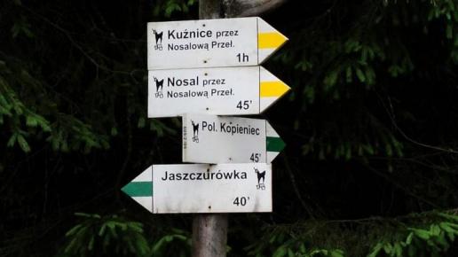 , Grzegorz Binkiewicz