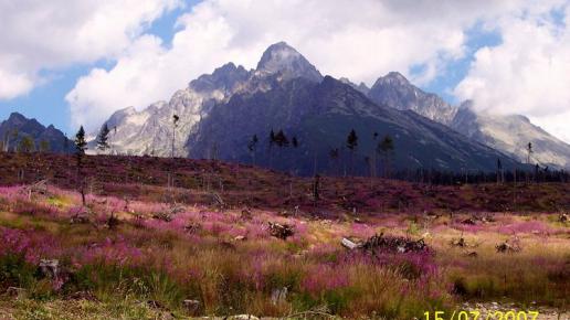 TATRY SŁOWACKIE-Hińczowe Stawy, Anonim