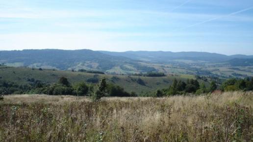 Pogórze Dynowskie, Andrzej