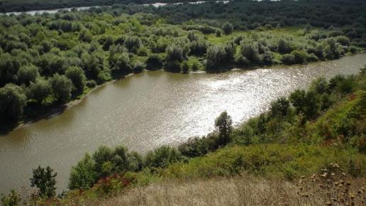 Starorzecze Wisły, Andrzej