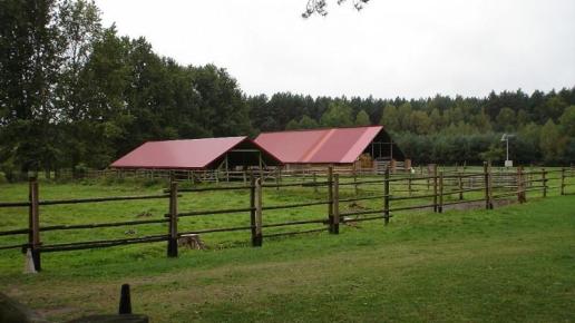 Mały wybieg i stajnie, Andrzej
