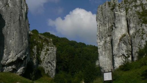 Brama Bolechowicka, Katarzyna Jamrozik