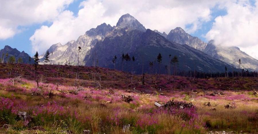TATRY SŁOWACKIE-Hińczowe Stawy - zdjęcie