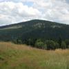 , Darek