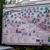 Plan Kalwarii, Tadeusz - WIARUSY