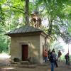 , Tadeusz - WIARUSY