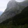, Janek