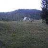 , Janek