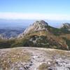 , Janek