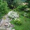 Ogród Botaniczny w Gołubiu, Danusia